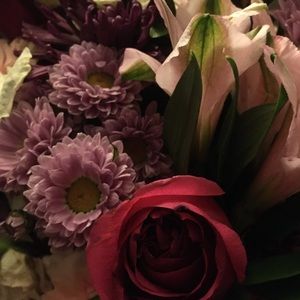 Meet your Posher, Paula